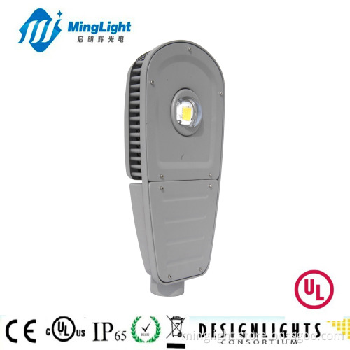 Street Light Solar, New Products 2013 (ST03-100W)
